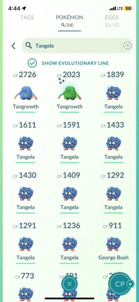 What’s one Pokémon line you like to collect?