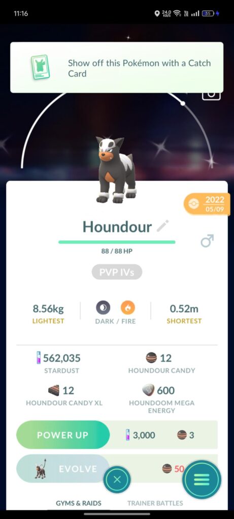 Why does it have the Shiny sparkles when it's not even a Shiny