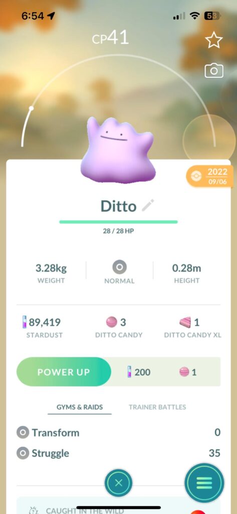 Caught my second Ditto....FINALLY