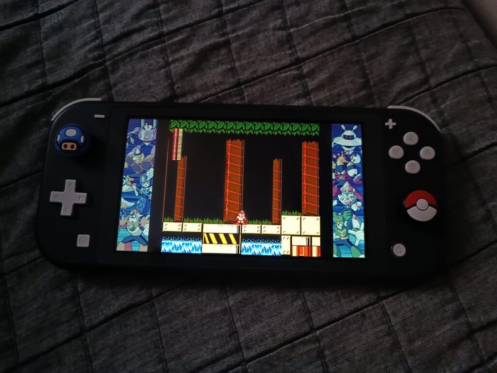 I Fixed Switch Lite D-pad