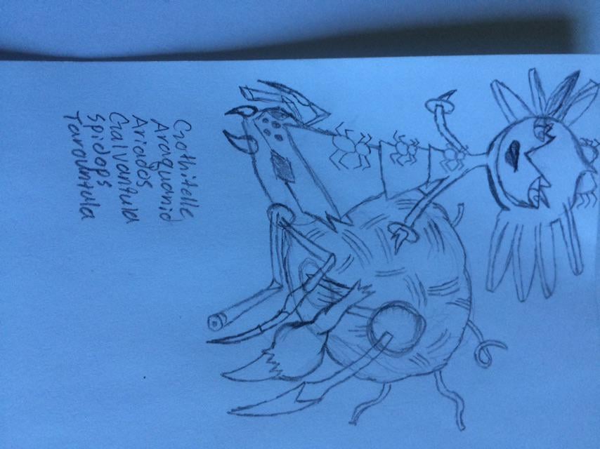 Arachne With pokemon