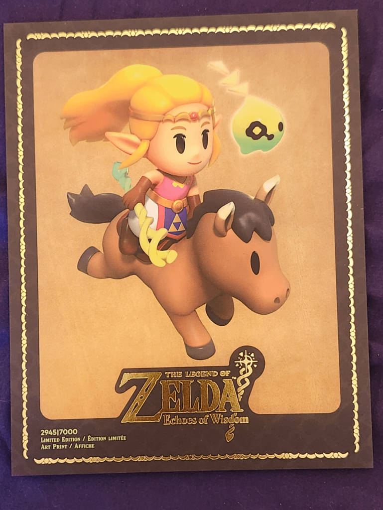 Zelda Echoes of Wisdom Gamestop Art Print