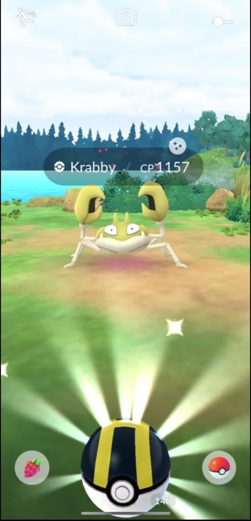 Caught shiny crab while camping 