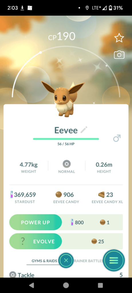 Why is my non shiny eevee shining? Is this a glitch?