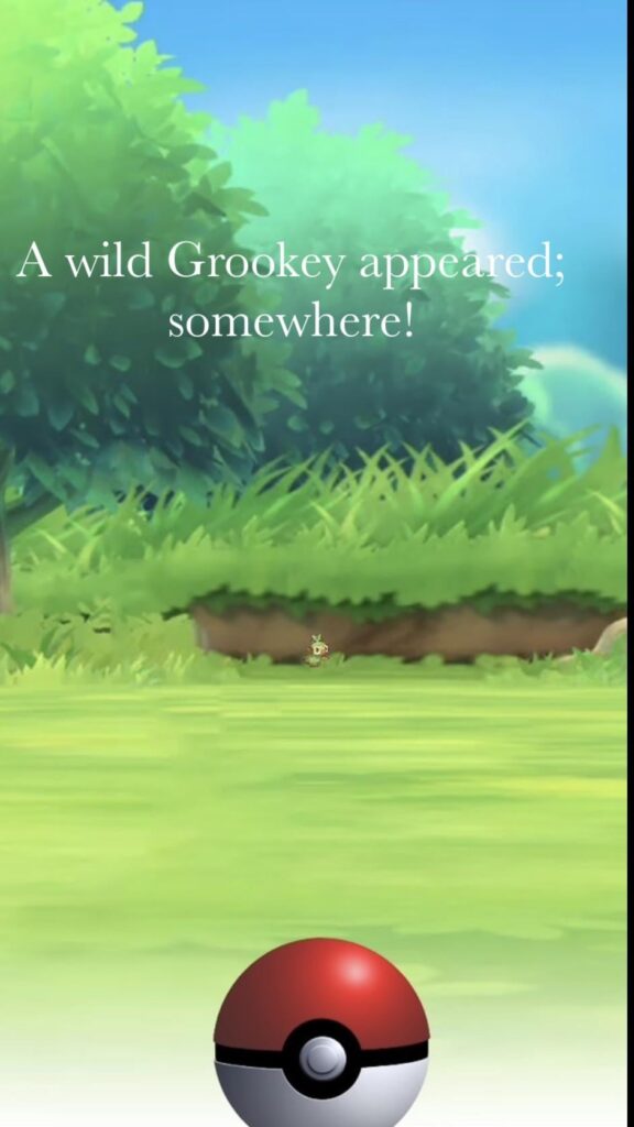 Grookey encounters be like