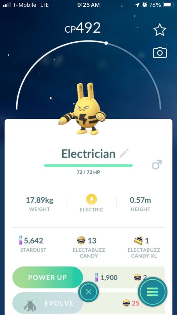 would you let him work on your house?