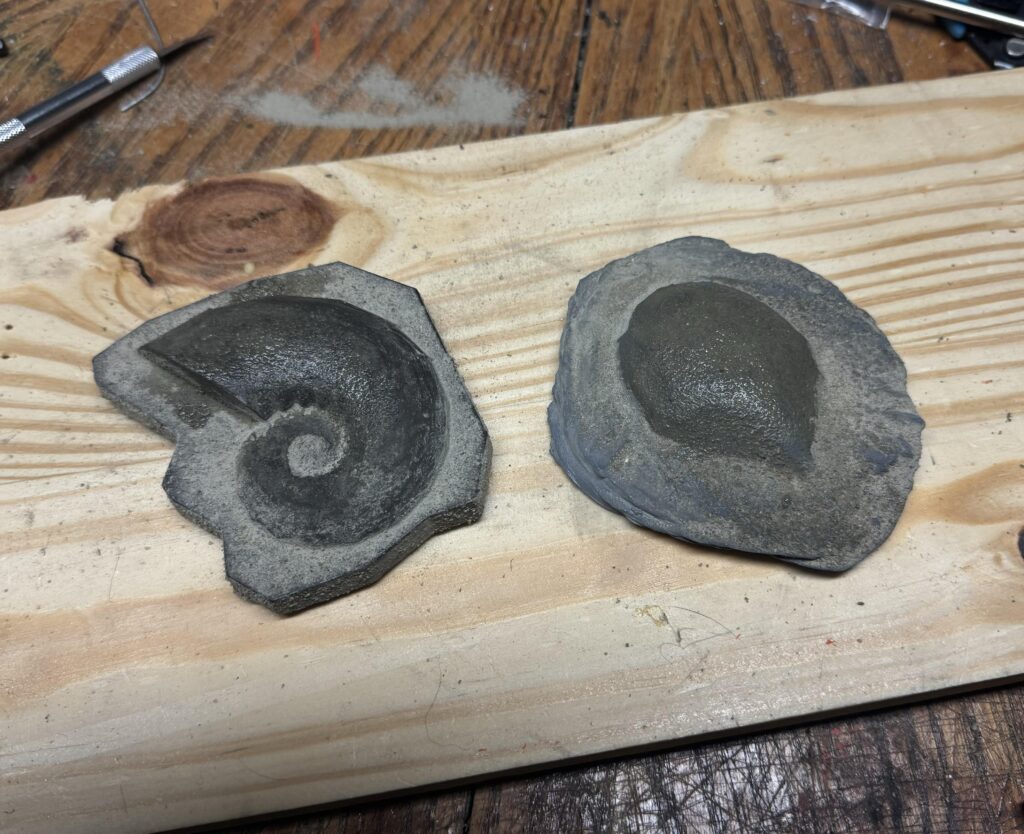 I made replica Helix and Dome fossils