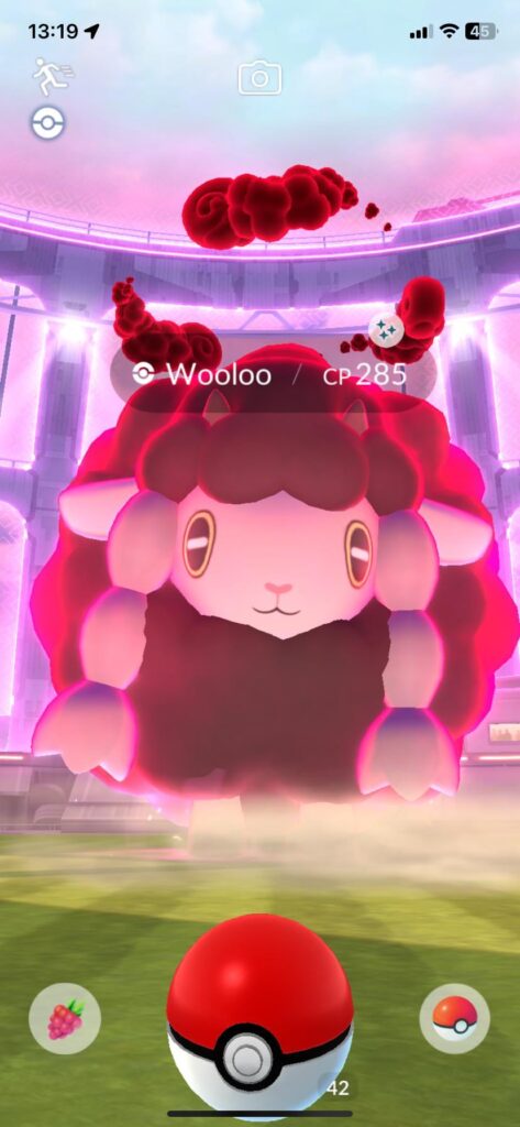 i got a big black sheep (literally)