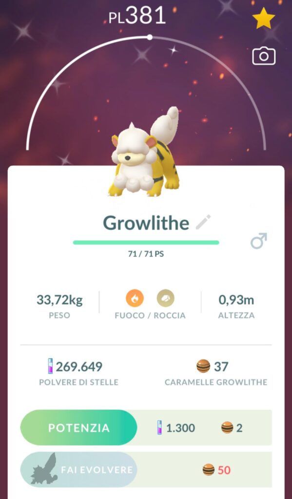 Little doggie 🐶💛