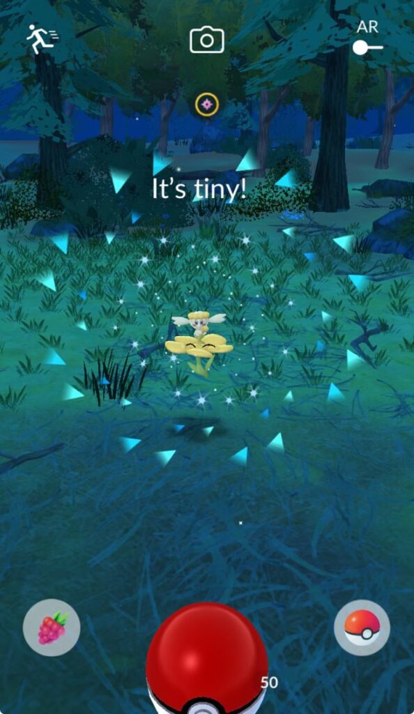 No! Really!?! I couldn’t tell