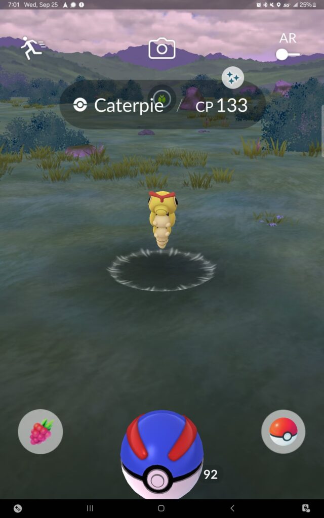 A shiny on my birthday is honestly all I can really ask for, I'm pretty pleased