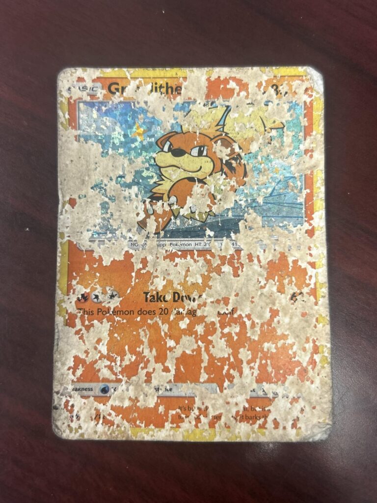 My wallet Growlithe