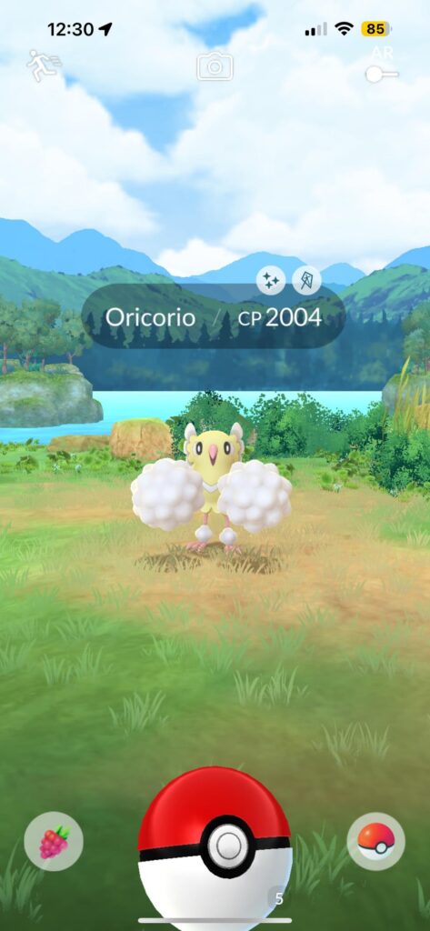 Caught this at work today