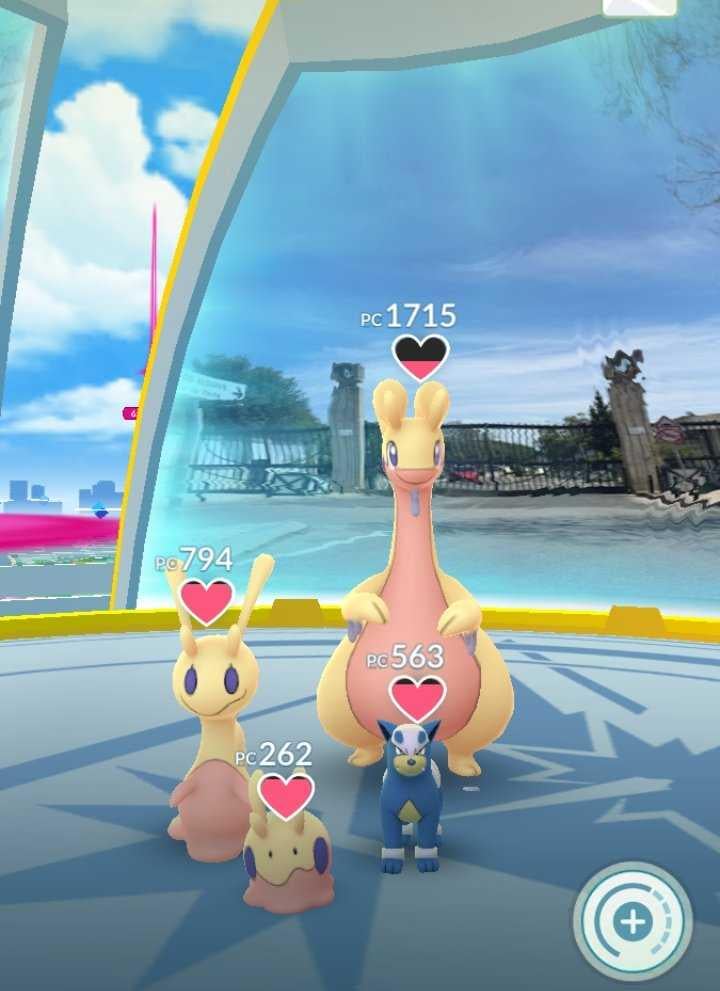 A family and their pet