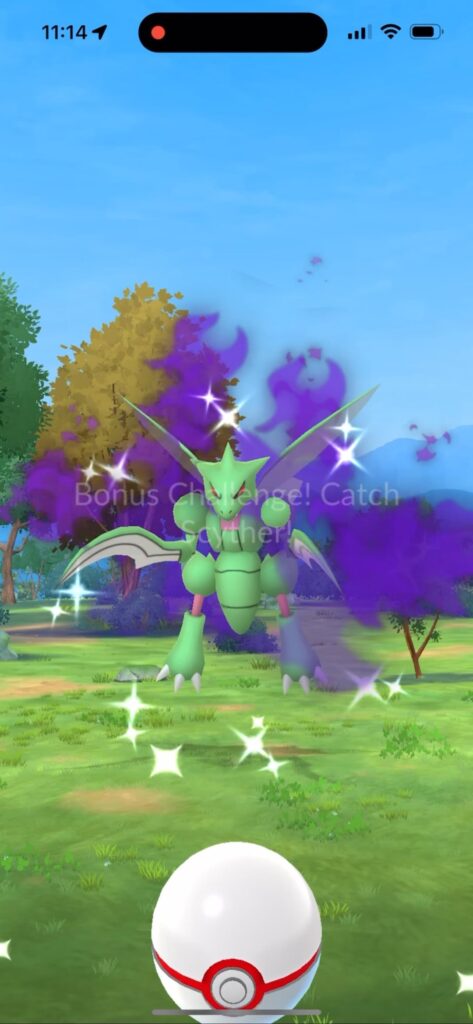 It Finally Happened!!! Shadow ✨