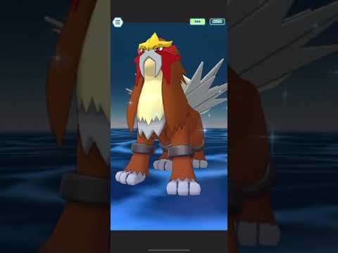 Clavell ( Paldea ) & Quaquaval Solo Entei Legendary Arena [ Pokemon Masters Ex ]