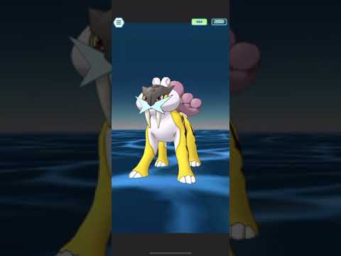 Clavell ( Paldea ) & Quaquaval Solo Raikou Legendary Arena [ Pokemon Masters Ex ]