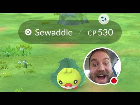 Sewaddle Shiny Hunt - Community Day - LIVE - Pokemon GO