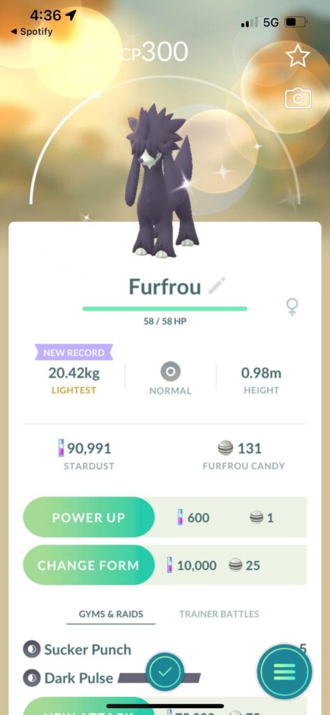 Got a random shiny Furfrou