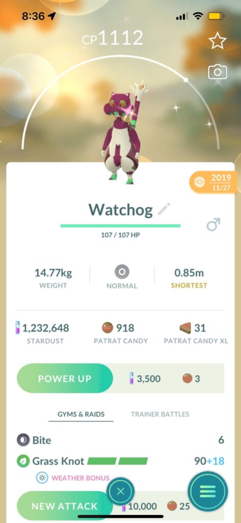 Are you ok shiny Watchog?