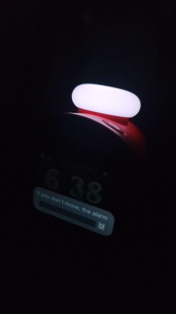 First Night with the Alarmo (Impressions)