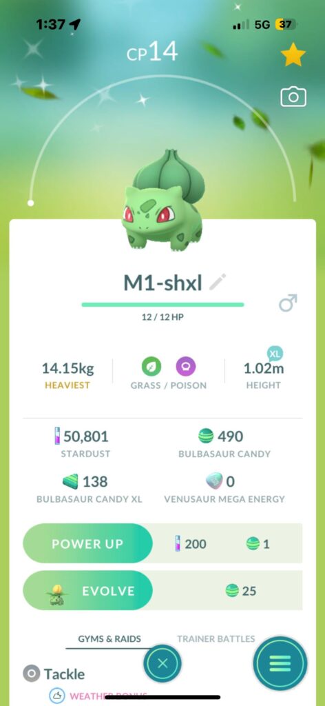 Level 1 shiny xl
