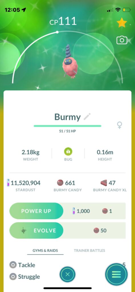 Show me a worse shiny