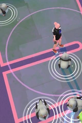 Any reason I perhaps missed as to why Pidove is haunting my game?