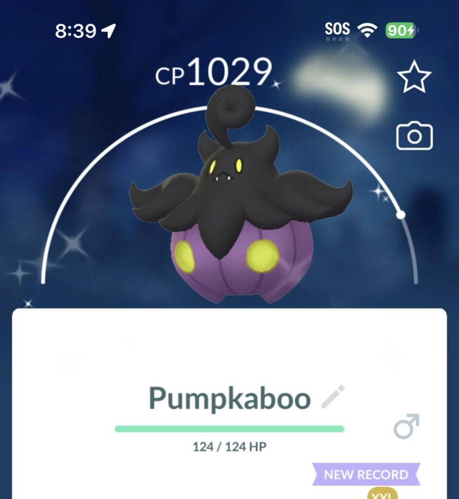 At long last, the shiny I’ve been looking for.