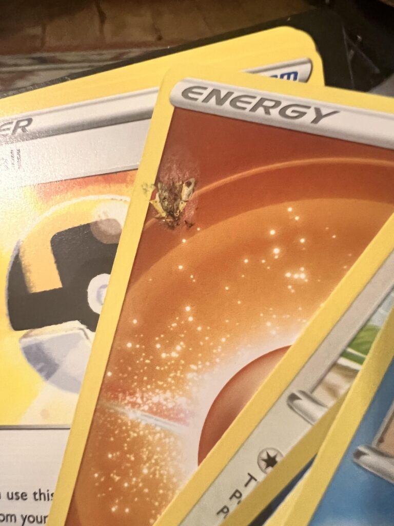 Was opening packs and well… RIP little guy