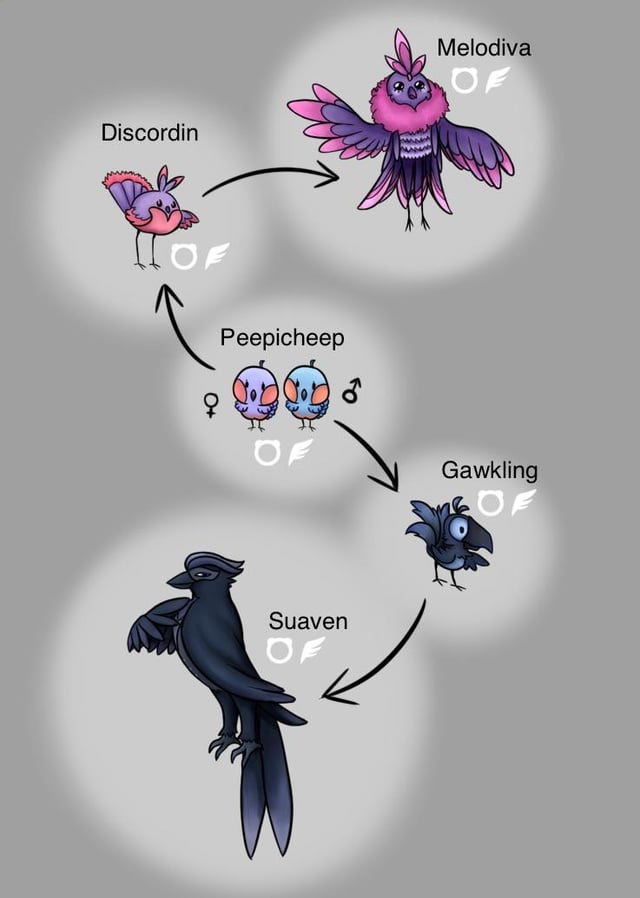 Bugs & Birds