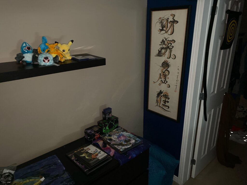 Any creative display ideas? (ft. my highly unorganized collection)