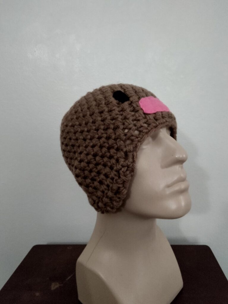 Chunky hats I made diglett is my fave.