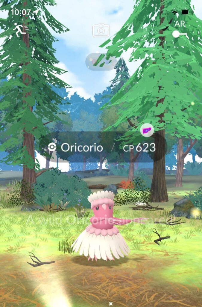 Third day in Grand Cayman