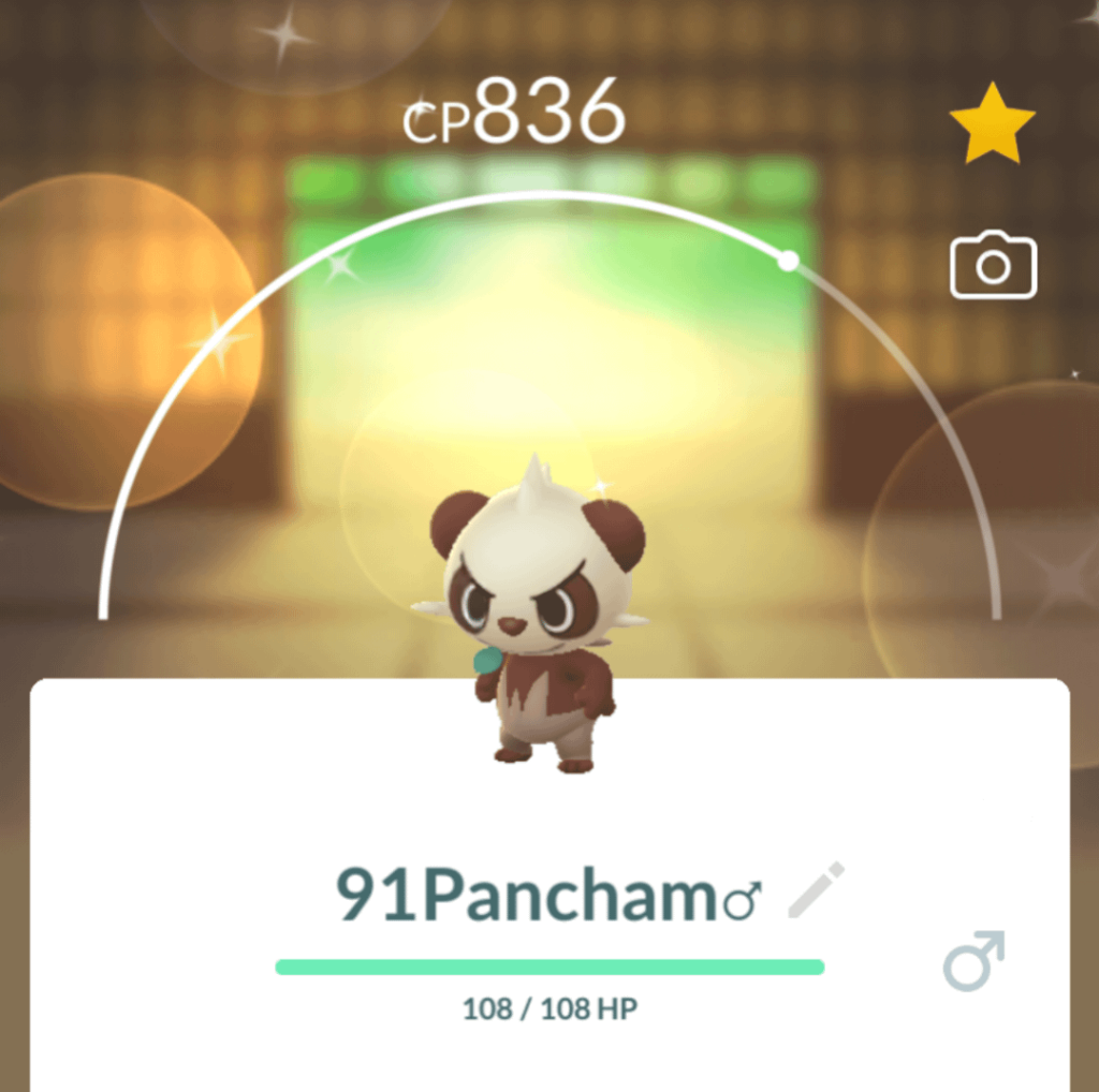 How lucky is to get Shiny Pancham?