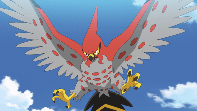 What bird do you think Talonflame is? A Red kite or a Peregrine Falcon?