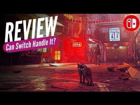 Stray | Switchup Review