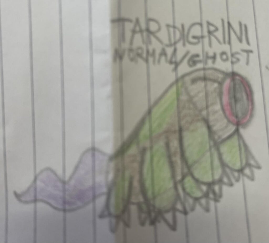 The pseudo legendary of my fakemon region. It has wonder guard, btw
