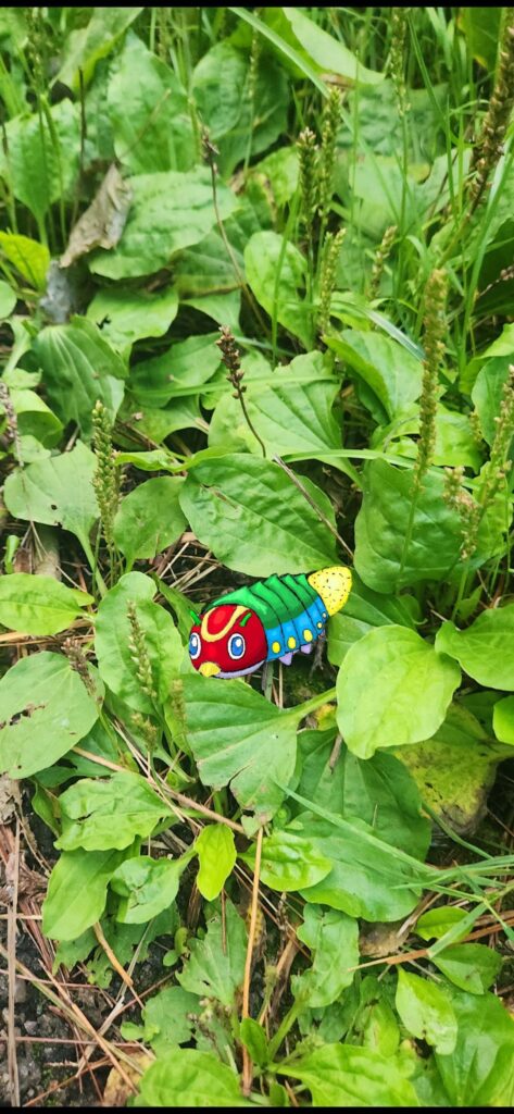 What do you think of this early route 1 bug type based on firefly pupa