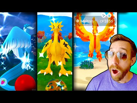 I Caught All Three Shiny Galarian Birds!