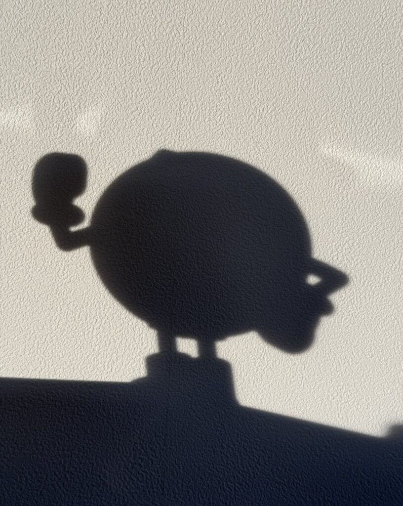 At dusk, a shadow of some kind appears... From @Sora_Sakurai