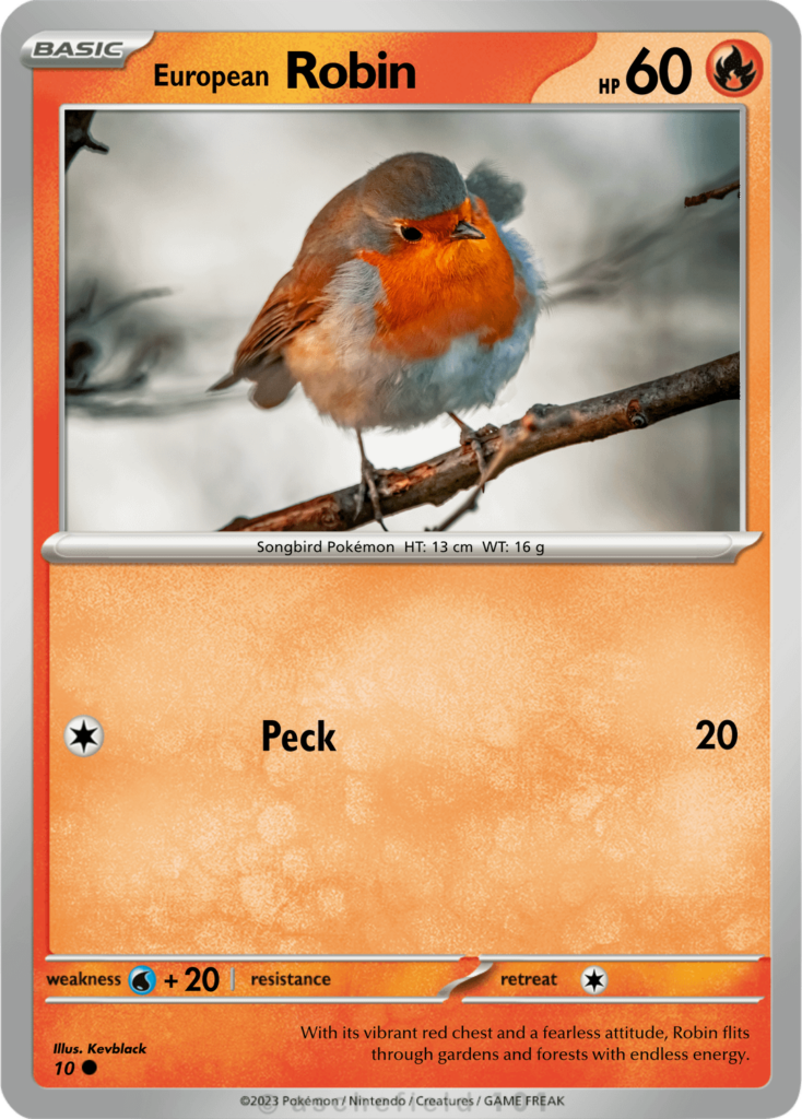 Thanks for all the love! I made some more wildlife cards with the photos I took.