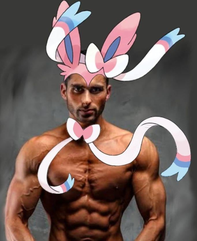 This is what dragon types see in a battle against fairy types