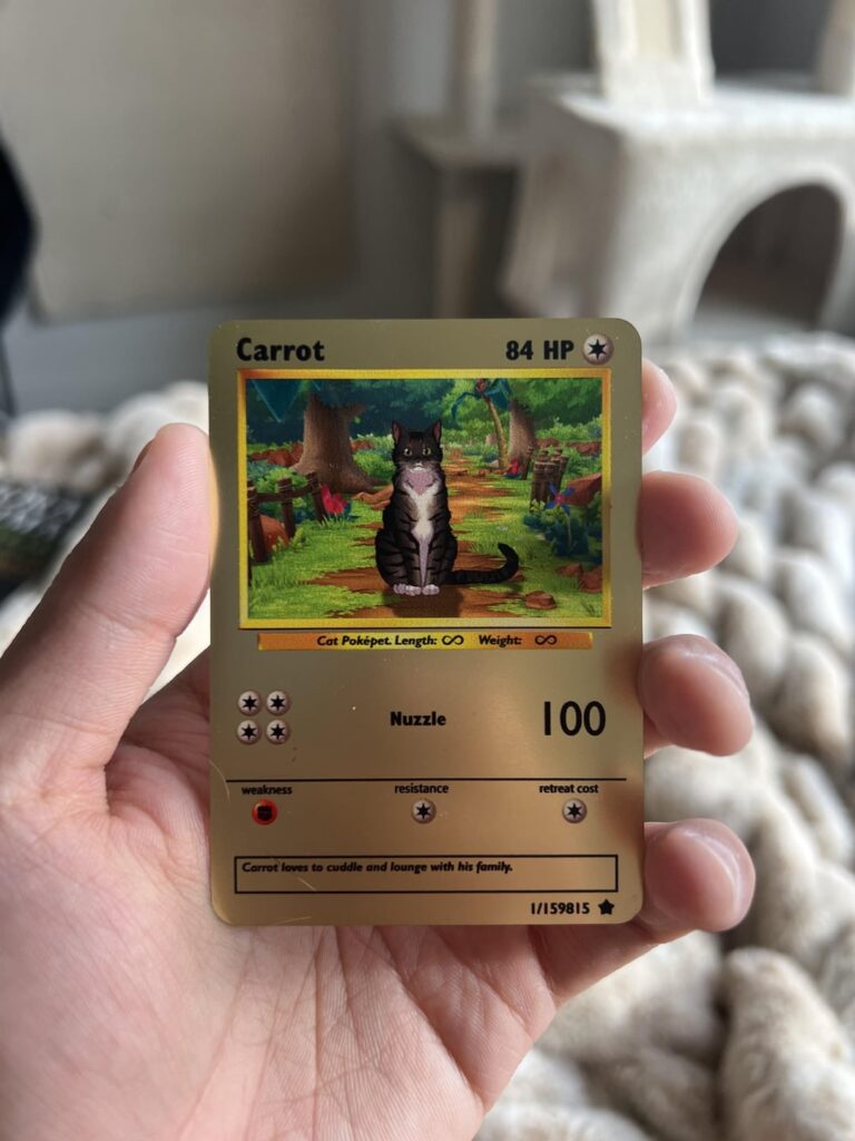 My Wife got me a birthday gift!