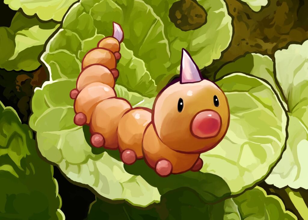 I drew a little Weedle, my own attempt at illustration that might fit the TCG.