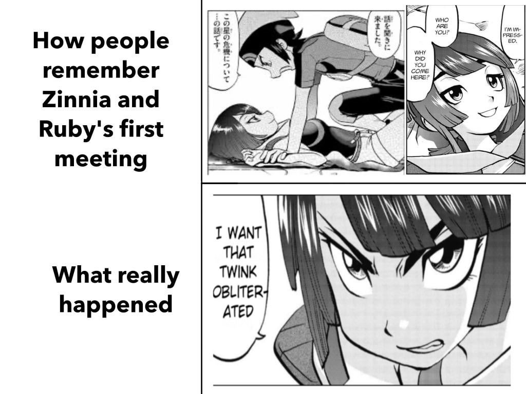 People really just looked at a page and judged (OC) Pokemon Special ORAS spoiler