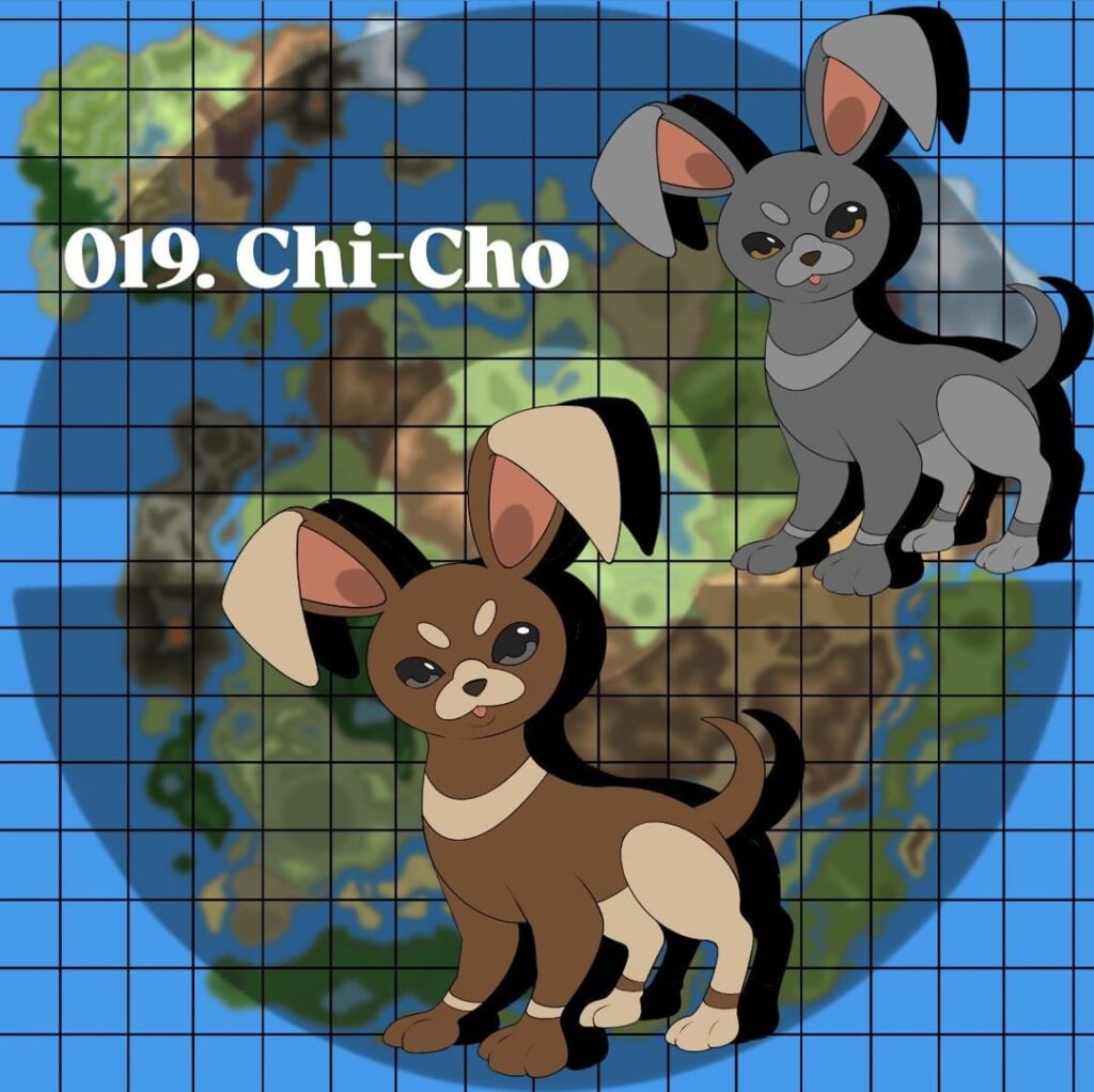 Chi-Cho and its many evolutionary choices!