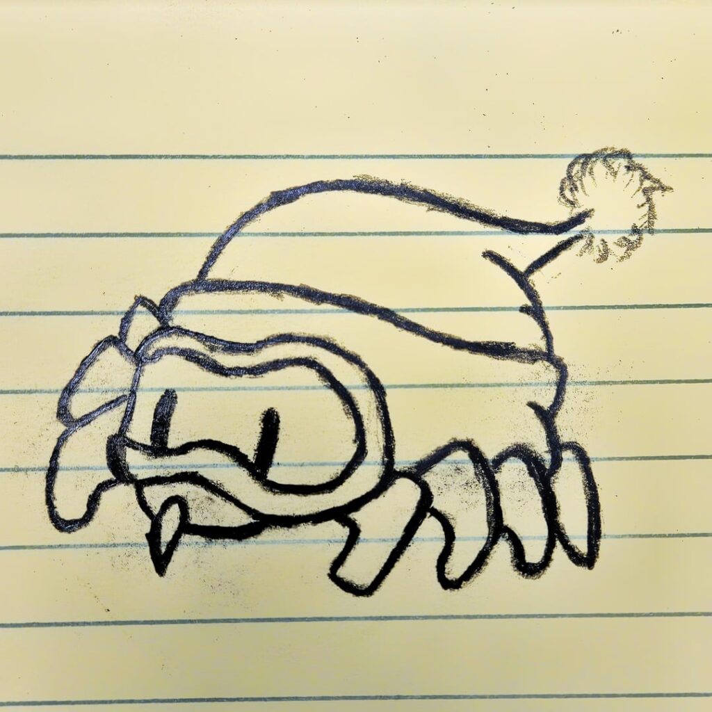 Toquantula & Skiiorpion