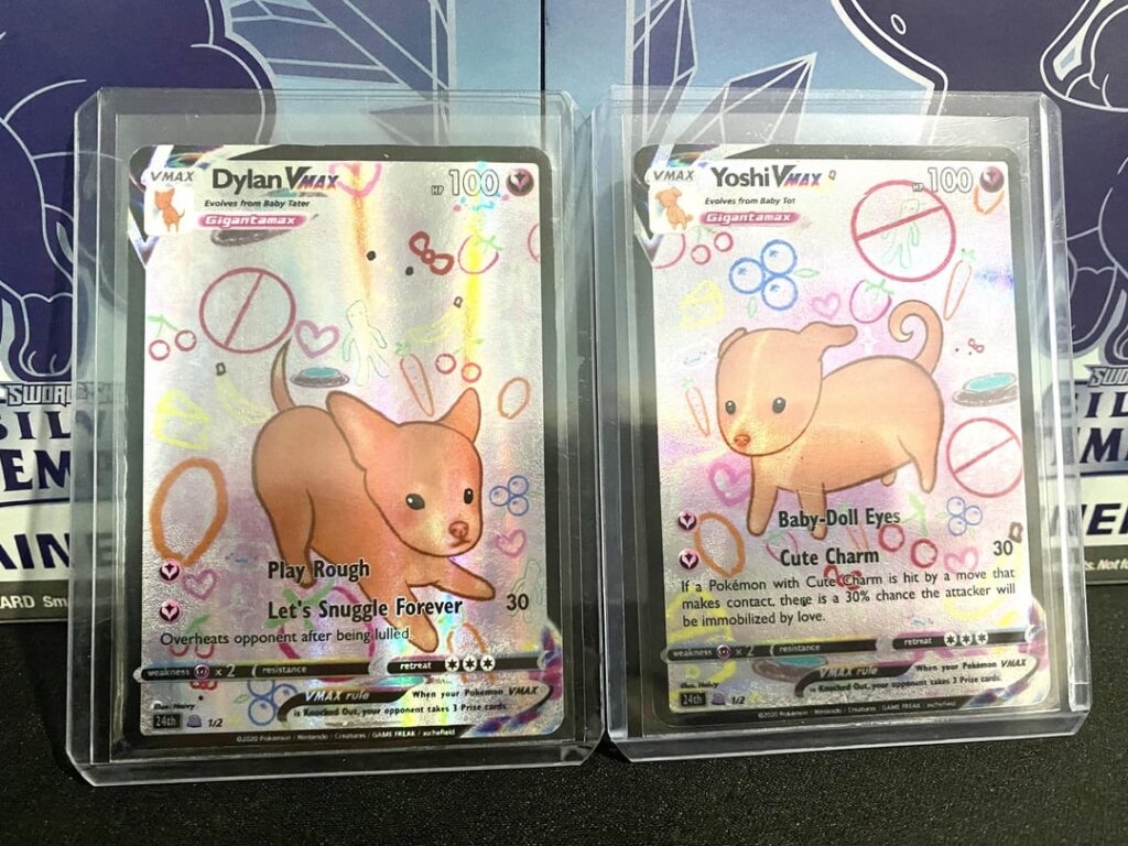 For Christmas my sister made my dogs into pokemon cards