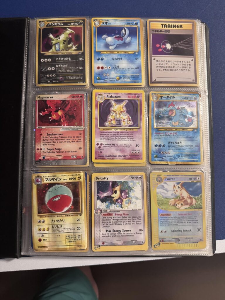 Mom sent me a binder she found